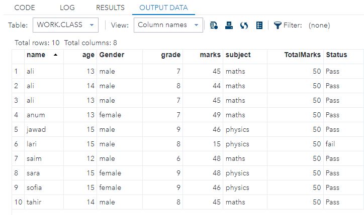 SAS Coding Project