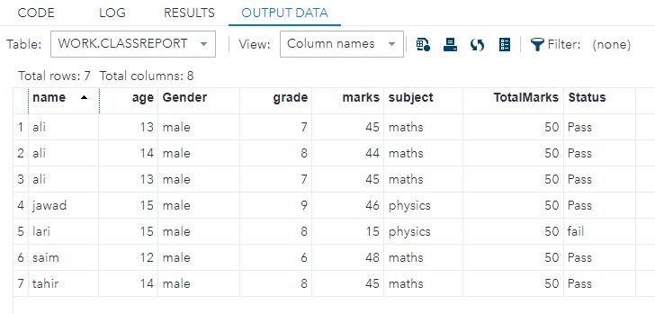 SAS Coding Project